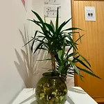 Διαμέρισμα In Arroios *