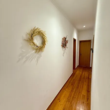 In Arroios * 리스본