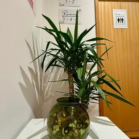 아파트 In Arroios *